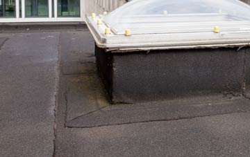 disadvantages of Elmers Marsh flat roofs