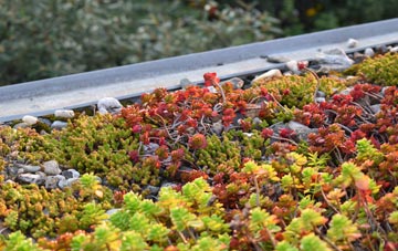 the cost of Elmers Marsh green roof installation