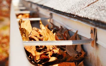 Elmers Marsh gutter cleaning companies