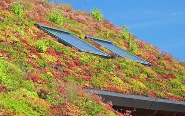 Elmers Marsh living roof systems