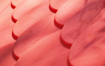 Elmers Marsh plastic roof costs