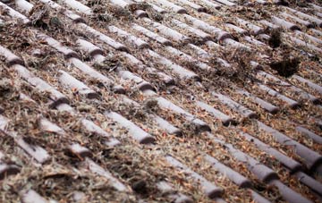 Elmers Marsh roof cleaning companies