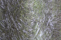 Elmers Marsh fibreglass roof work