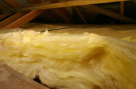 Elmers Marsh pitch roof insulation