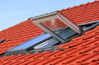 Elmers Marsh roof window